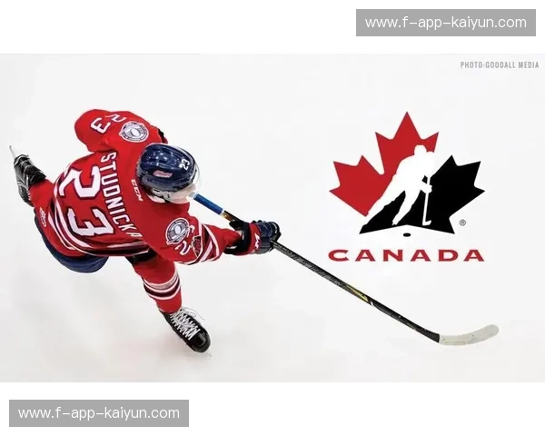 排名冰球：让每一次滑行都被看见的冰上革命